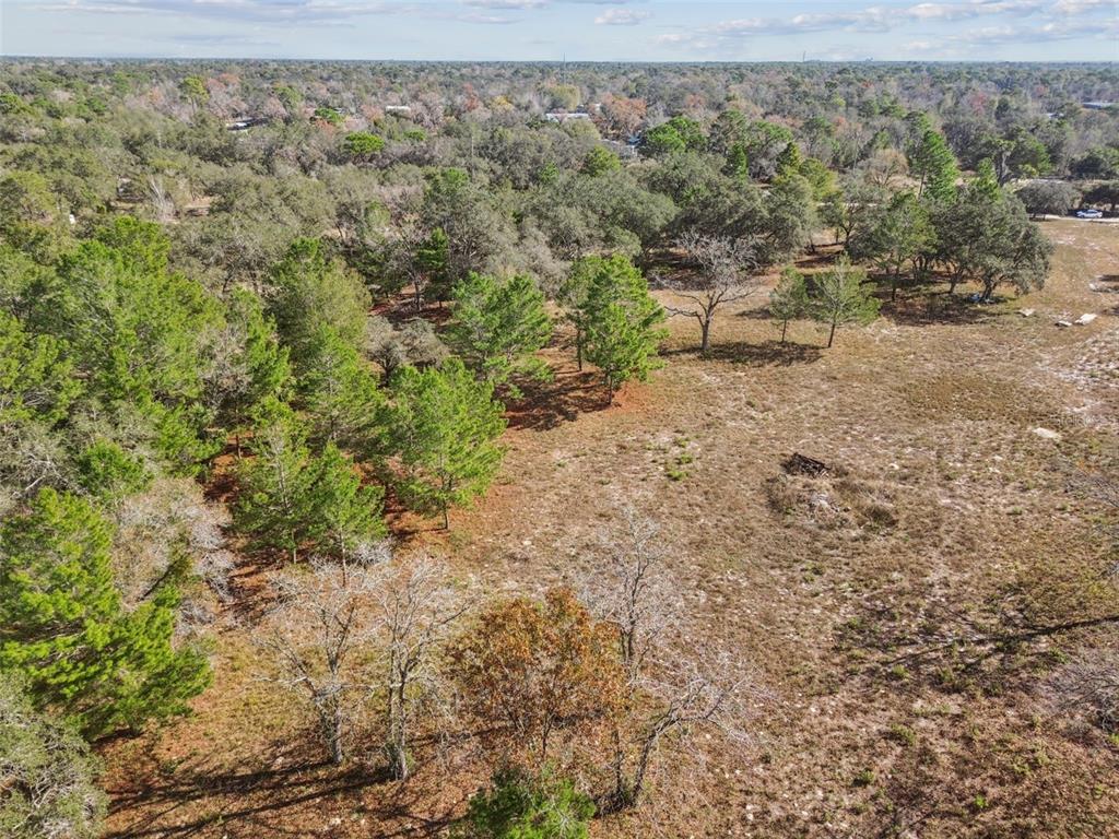 14459 Coyote Road Hudson, FL 34669 - Photo 47 of 55 a view of a yard with a tree