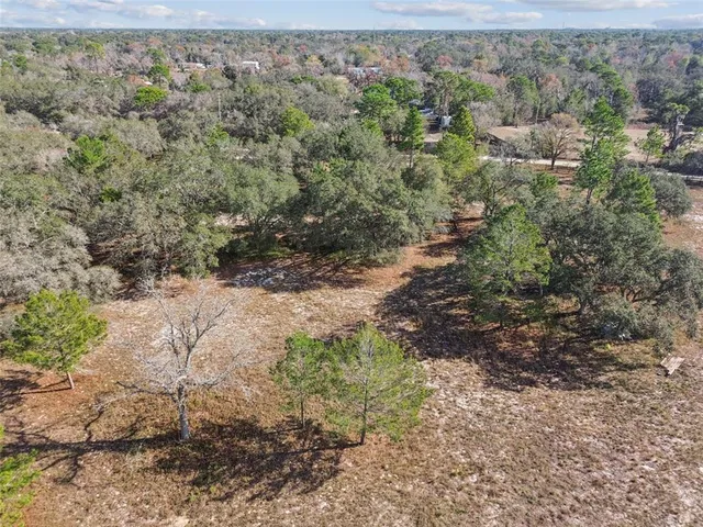 a view of a yard with a tree