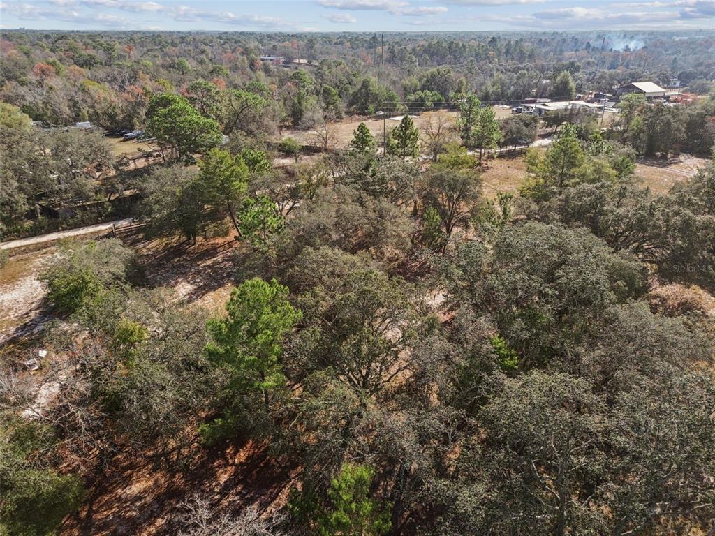 14459 Coyote Road Hudson, FL 34669 - Photo 50 of 55 an aerial view of forest