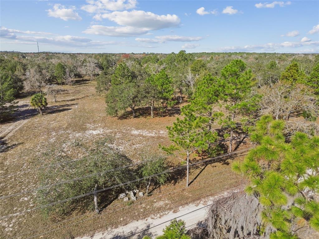 14459 Coyote Road Hudson, FL 34669 - Photo 5 of 55 a view of an outdoor space and a yard