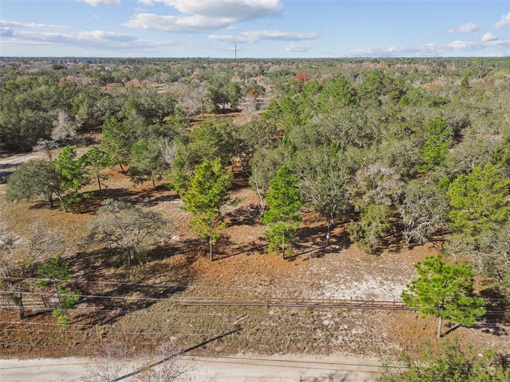 14459 Coyote Road Hudson, FL 34669 - Photo 7 of 55 a view of a yard with an outdoor space