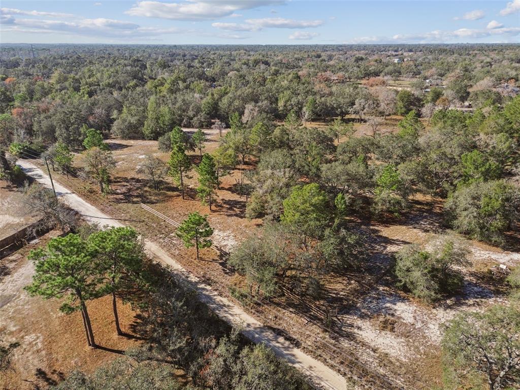 14459 Coyote Road Hudson, FL 34669 - Photo 9 of 55 a view of a yard with an outdoor space