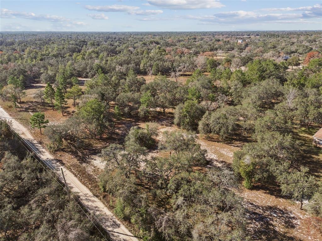 14459 Coyote Road Hudson, FL 34669 - Photo 10 of 55 a view of a city with lush green forest