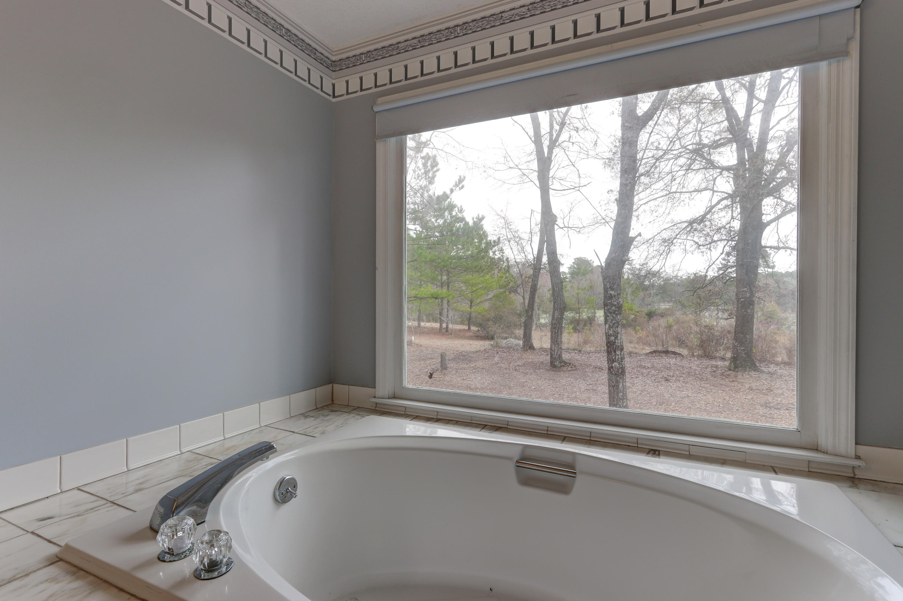 4501 Mill Spring Road Hollywood, SC 29449 - Photo 20 of 30 4501 Millspring Rd (28)