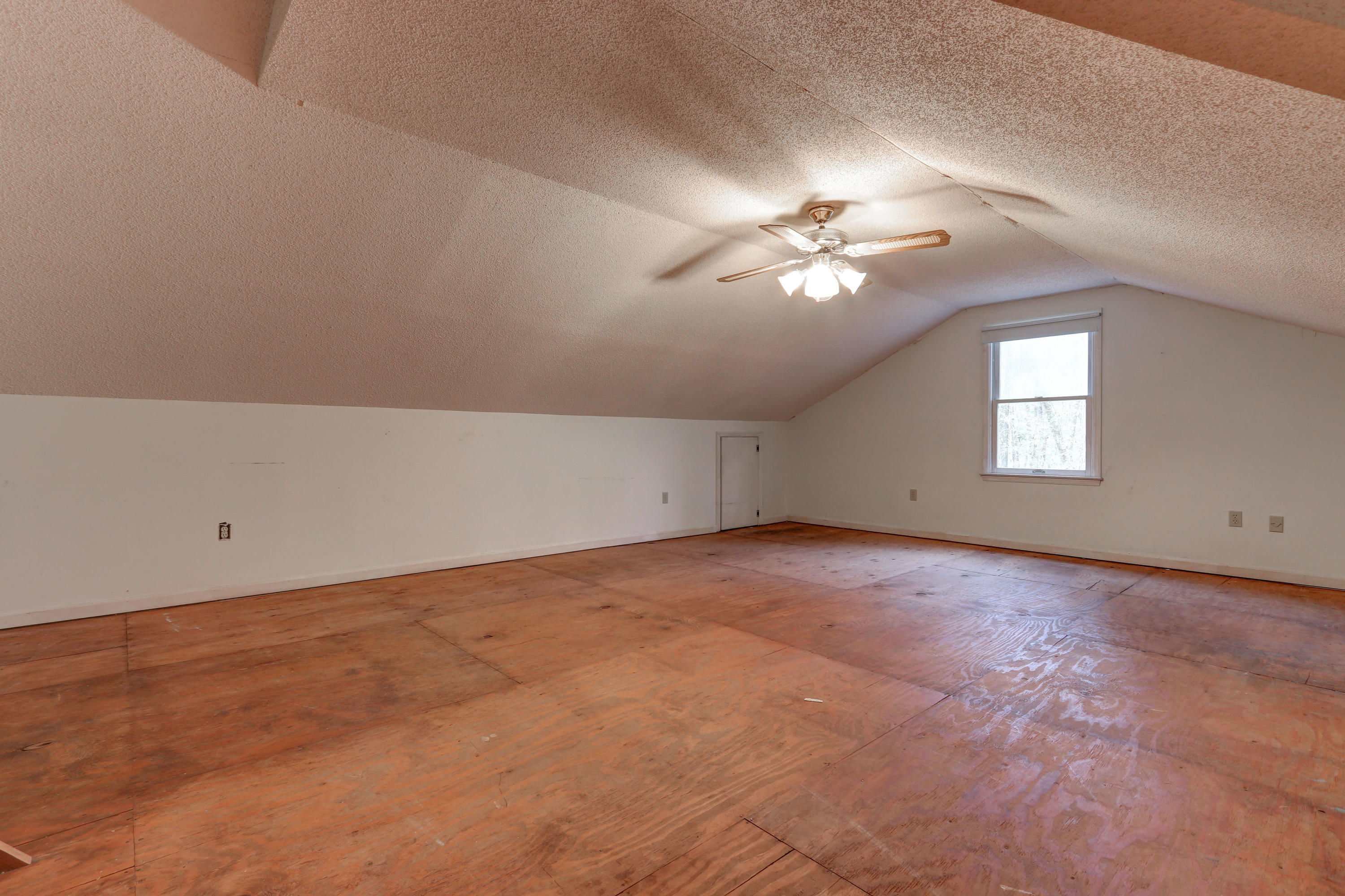 4501 Mill Spring Road Hollywood, SC 29449 - Photo 25 of 30 4501 Millspring Rd (34)