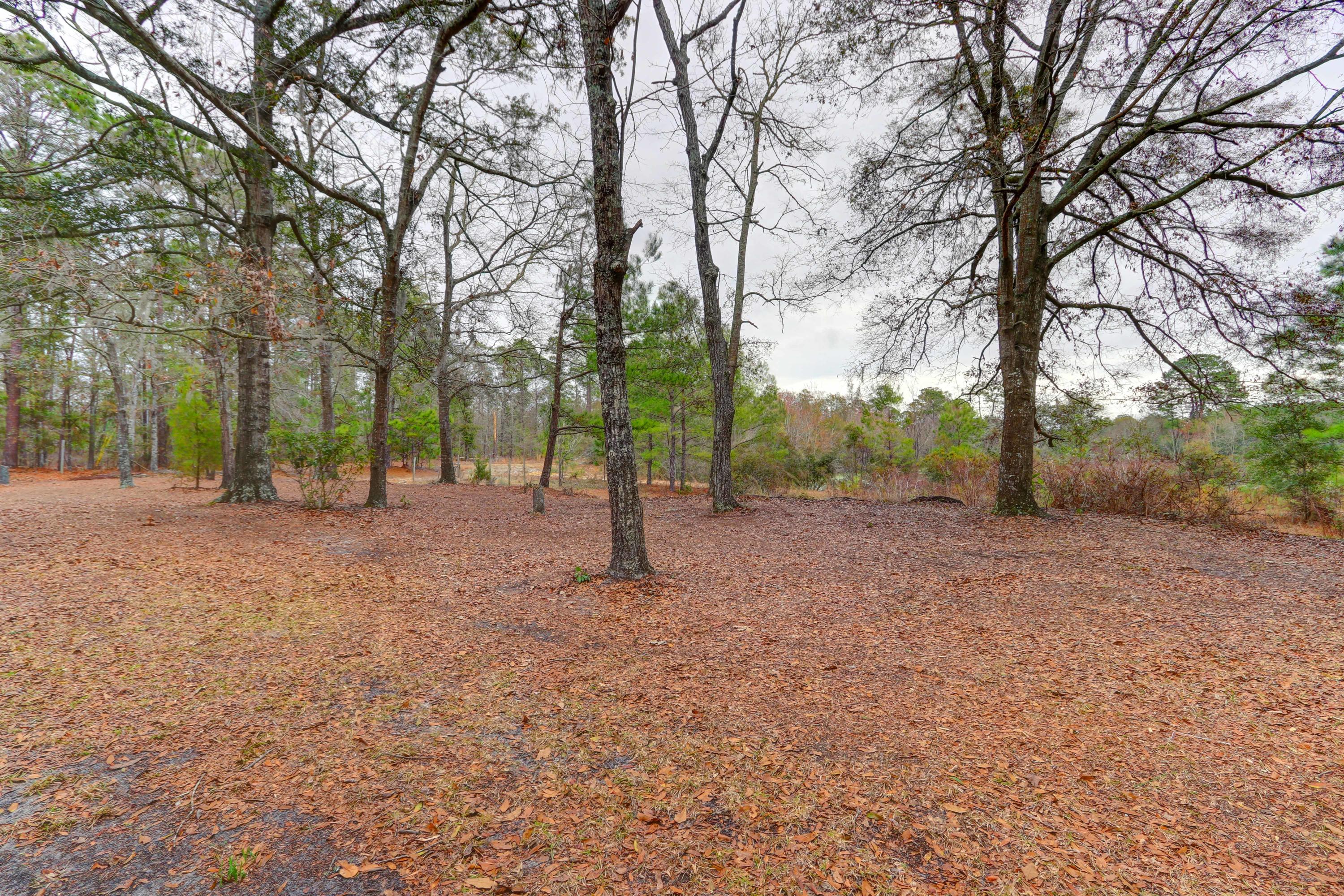 4501 Mill Spring Road Hollywood, SC 29449 - Photo 26 of 30 4501 Millspring Rd (37) (1)