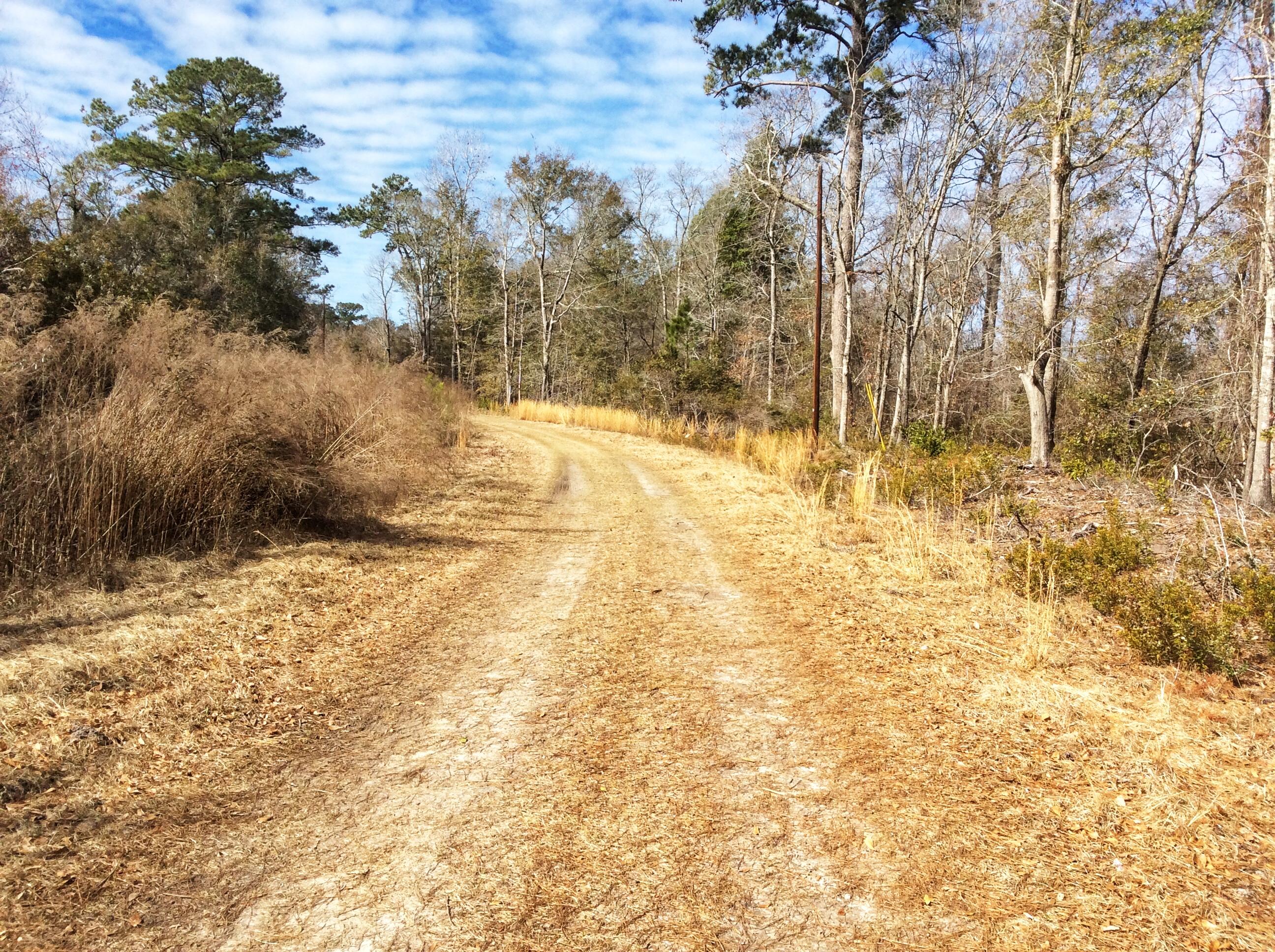 4501 Mill Spring Road Hollywood, SC 29449 - Photo 30 of 30 Private Nature Preserve