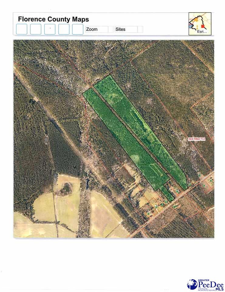 0 East Mt Zion Road Pamplico, SC 29583 - Photo 1 of 1 Gallery Image 1