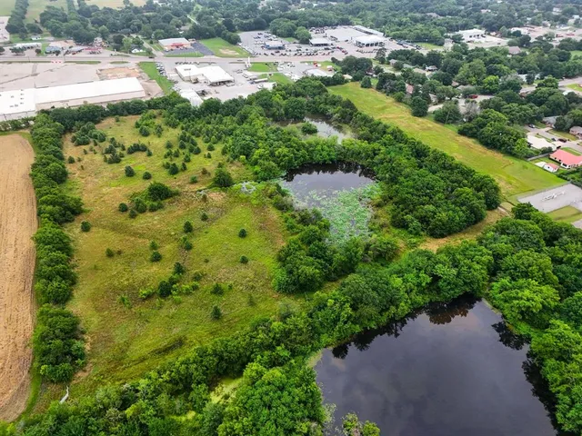 a view of a garden with a tree