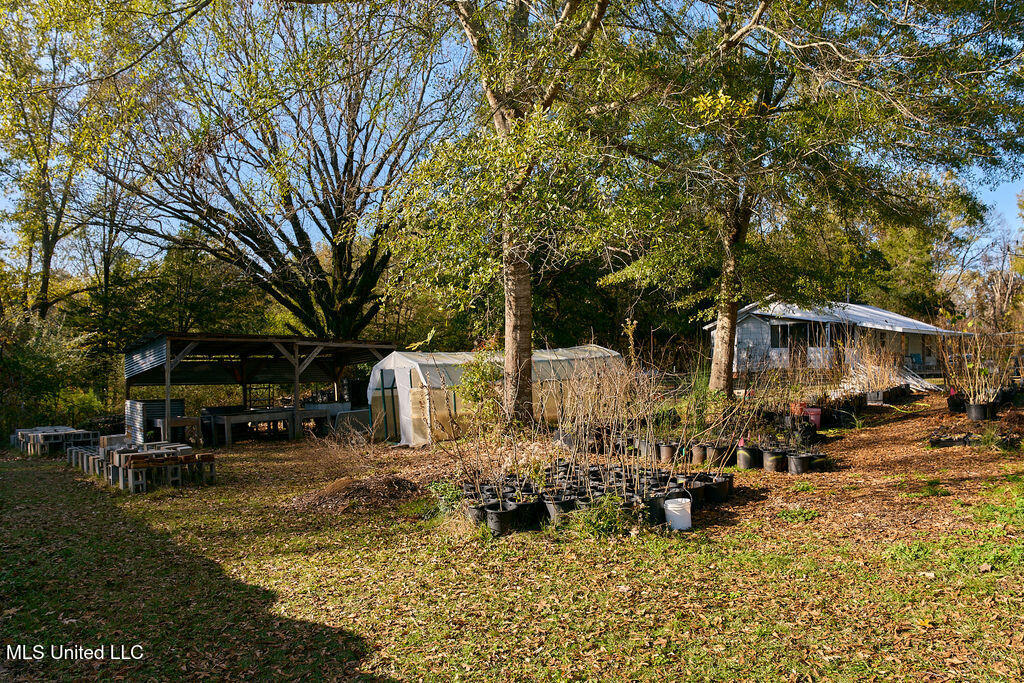 1541 Frank Hall Road Bolton, MS 39041 - Photo 36 of 67 P1188357