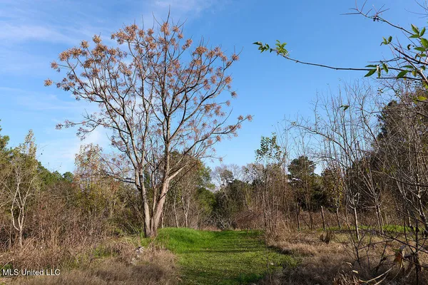 $199,000 | 1541 Frank Hall Road, Bolton, MS 39041