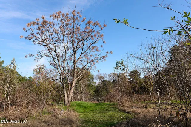 $230,000 | 1541 Frank Hall Road, Bolton, MS 39041