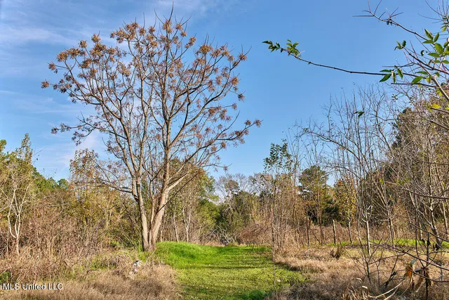 $230,000 | 1541 Frank Hall Road, Bolton, MS 39041