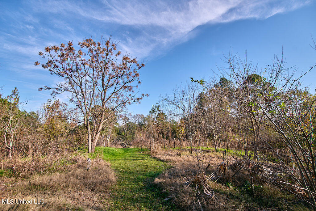 1541 Frank Hall Road Bolton, MS 39041 - Photo 44 of 67 P1188369