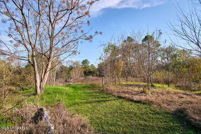 $230,000 | 1541 Frank Hall Road, Bolton, MS 39041