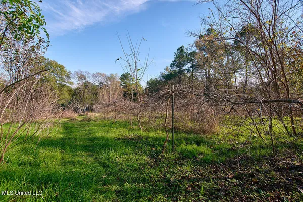 $199,000 | 1541 Frank Hall Road, Bolton, MS 39041