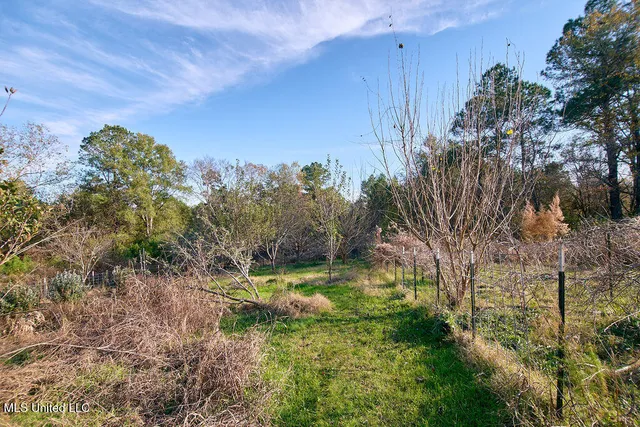 $230,000 | 1541 Frank Hall Road, Bolton, MS 39041