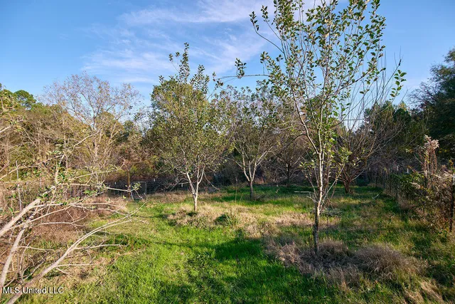 $230,000 | 1541 Frank Hall Road, Bolton, MS 39041