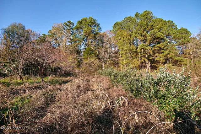 $230,000 | 1541 Frank Hall Road, Bolton, MS 39041