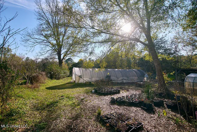 $230,000 | 1541 Frank Hall Road, Bolton, MS 39041