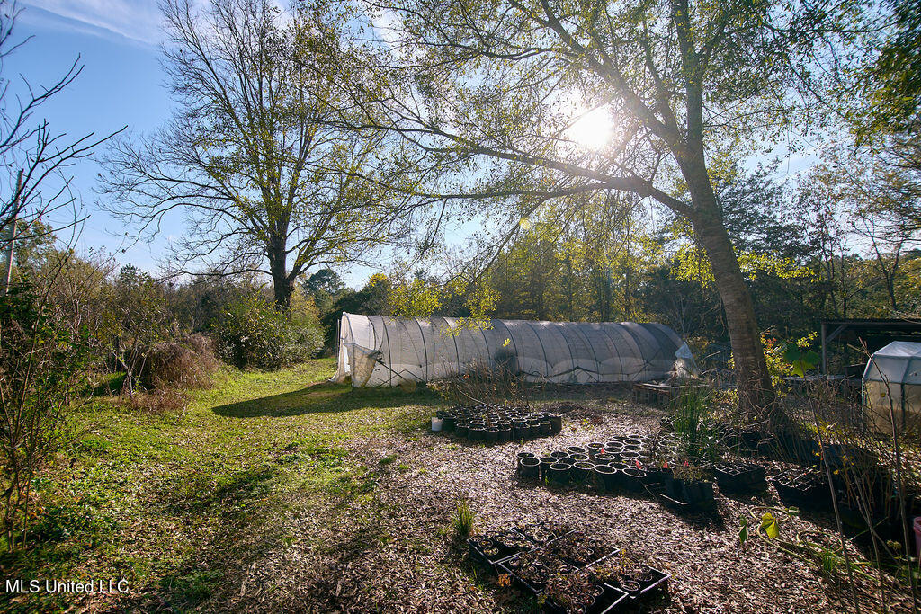 1541 Frank Hall Road Bolton, MS 39041 - Photo 55 of 67 P1188382