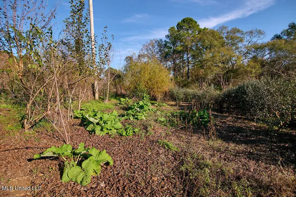 $199,000 | 1541 Frank Hall Road, Bolton, MS 39041