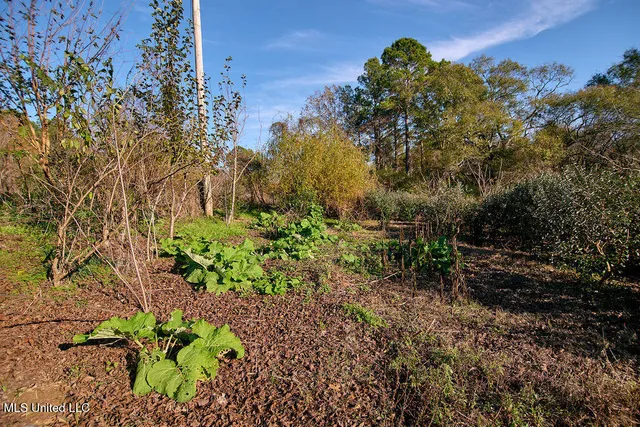 $230,000 | 1541 Frank Hall Road, Bolton, MS 39041