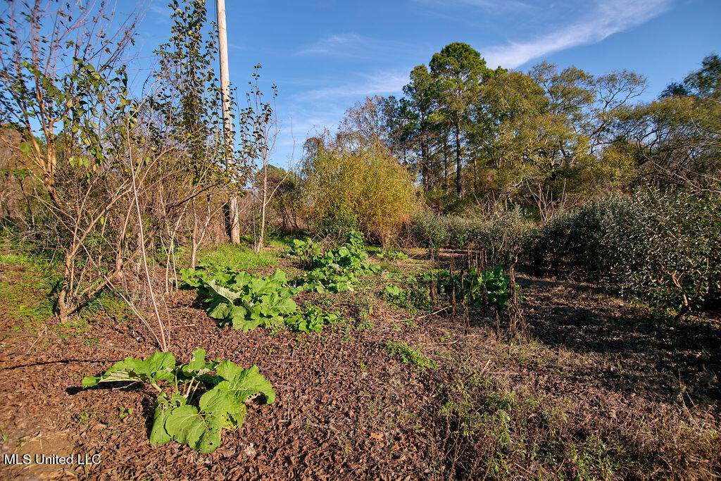 1541 Frank Hall Road Bolton, MS 39041 - Photo 57 of 67 P1188386