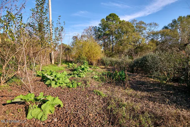 $230,000 | 1541 Frank Hall Road, Bolton, MS 39041