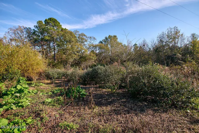 $230,000 | 1541 Frank Hall Road, Bolton, MS 39041