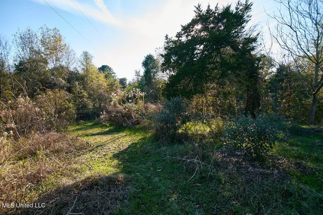 $230,000 | 1541 Frank Hall Road, Bolton, MS 39041