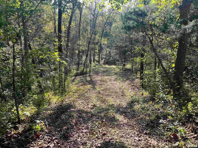 $225,000 | Rr125 Rr125 Street, Versailles, IL 62378