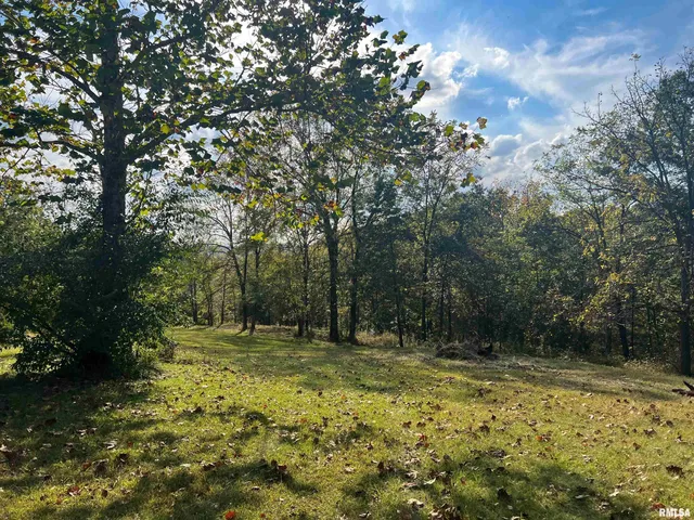 $225,000 | Rr125 Rr125 Street, Versailles, IL 62378