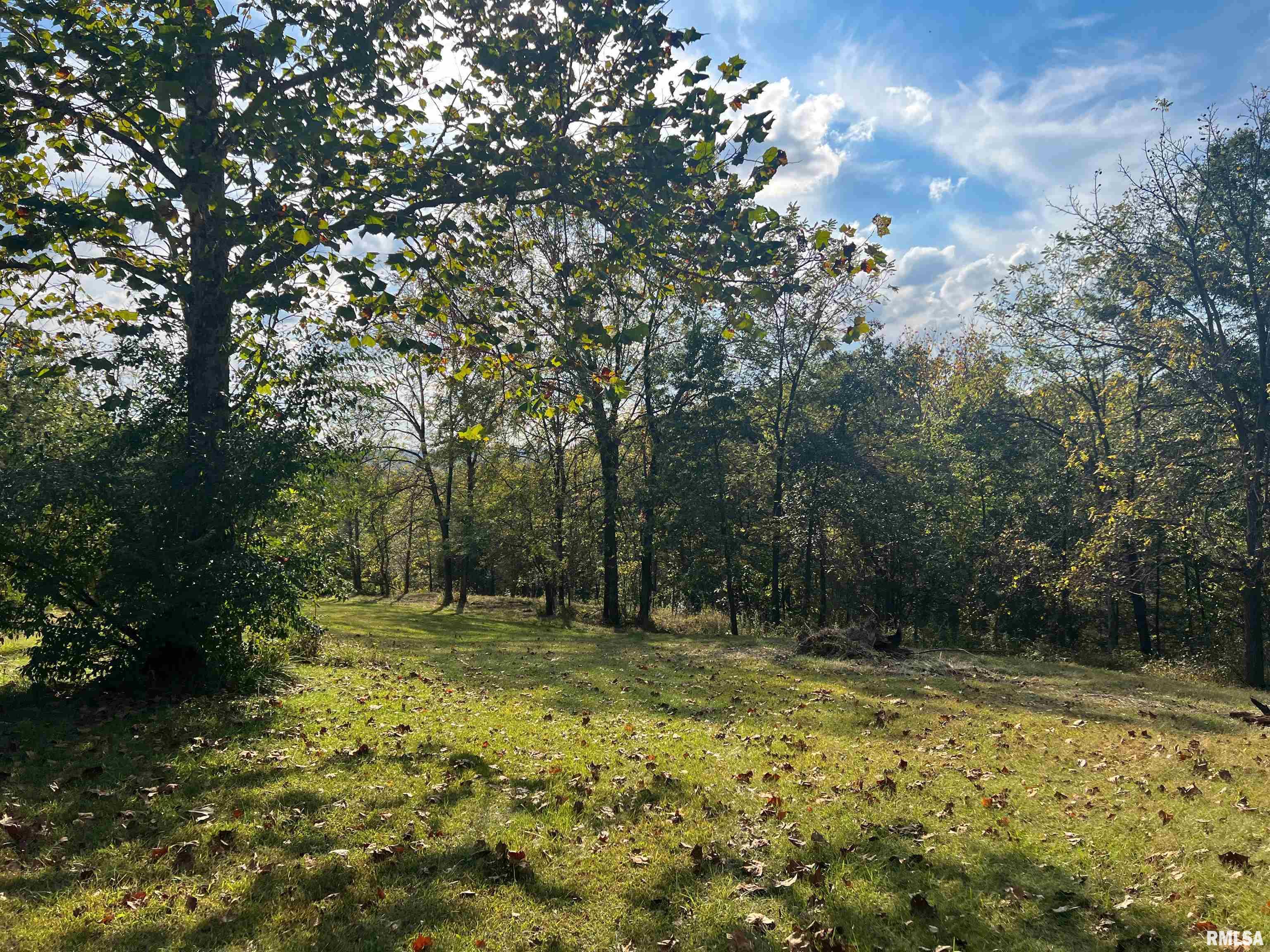 Rr125 Rr125 Street Versailles, IL 62378 - Photo 11 of 37