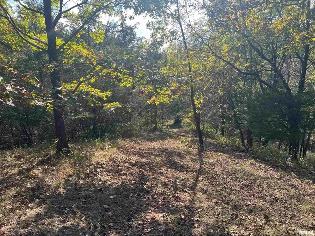 $225,000 | Rr125 Rr125 Street, Versailles, IL 62378