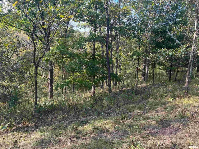 $225,000 | Rr125 Rr125 Street, Versailles, IL 62378