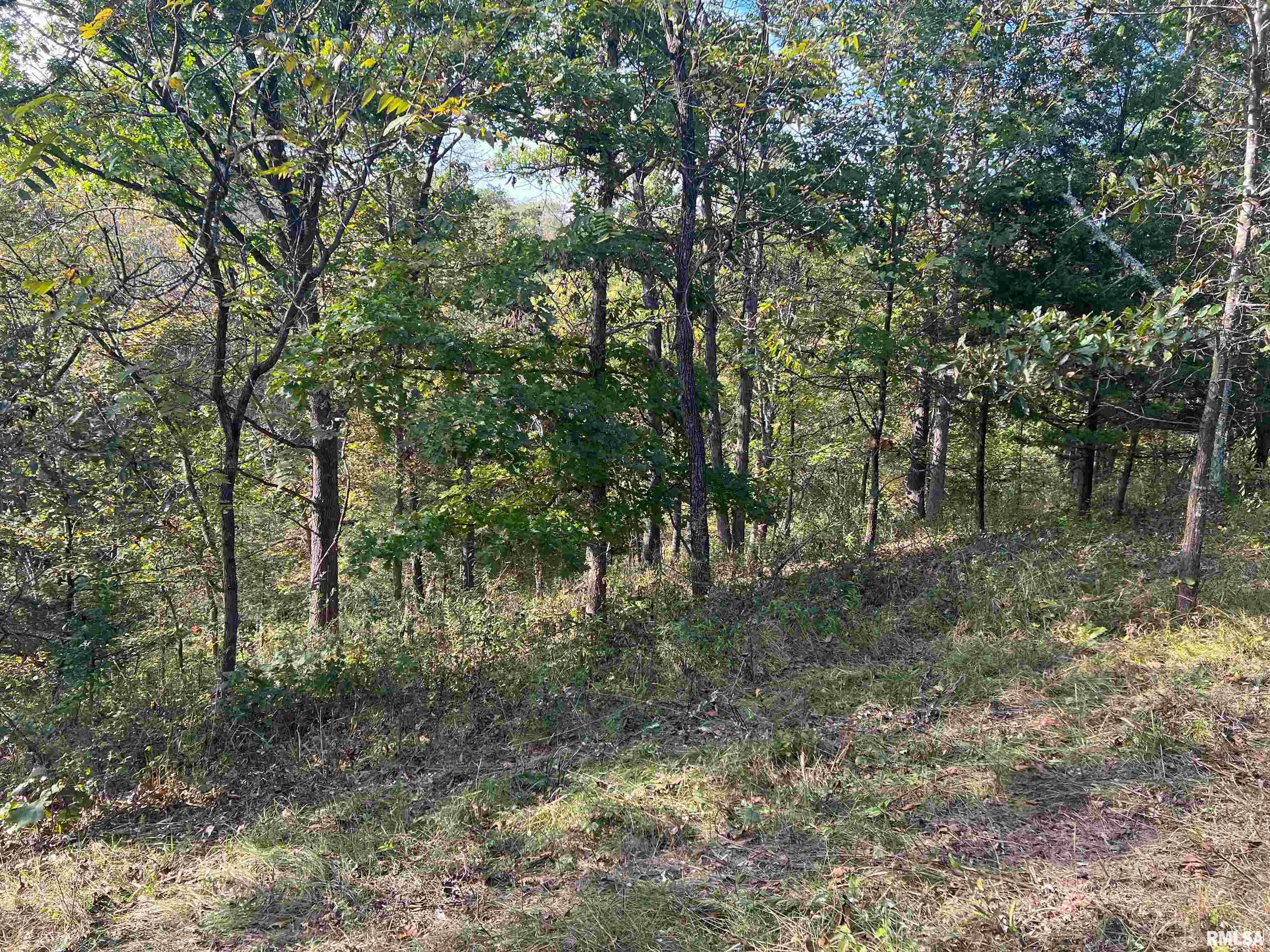 Rr125 Rr125 Street Versailles, IL 62378 - Photo 13 of 37