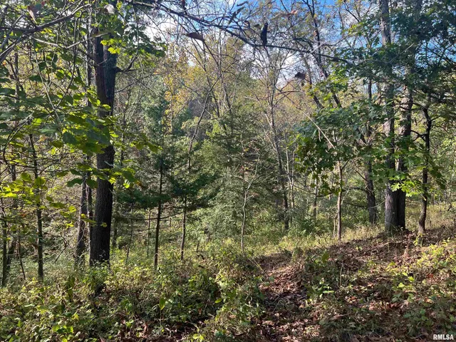 $225,000 | Rr125 Rr125 Street, Versailles, IL 62378