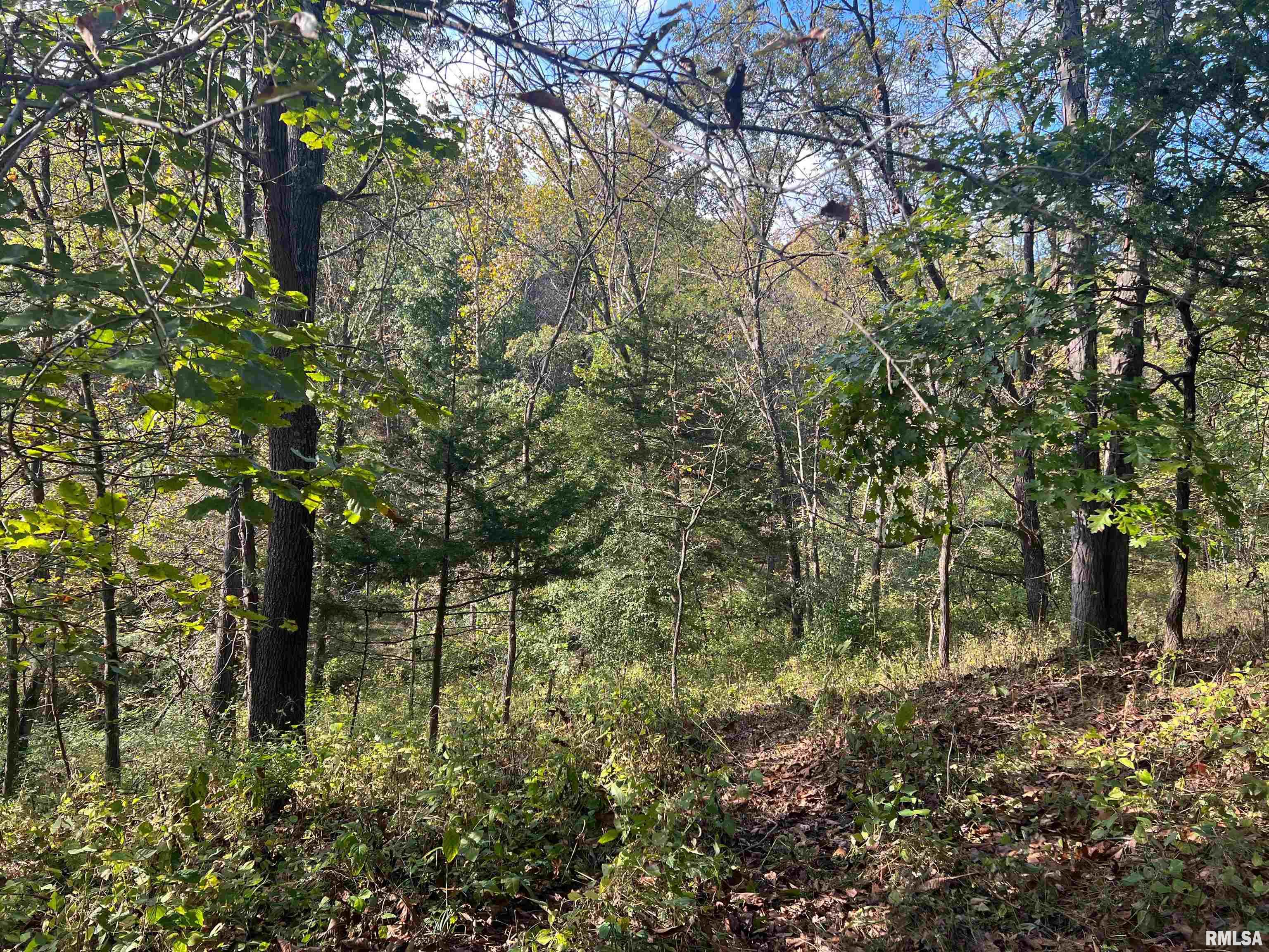 Rr125 Rr125 Street Versailles, IL 62378 - Photo 14 of 37