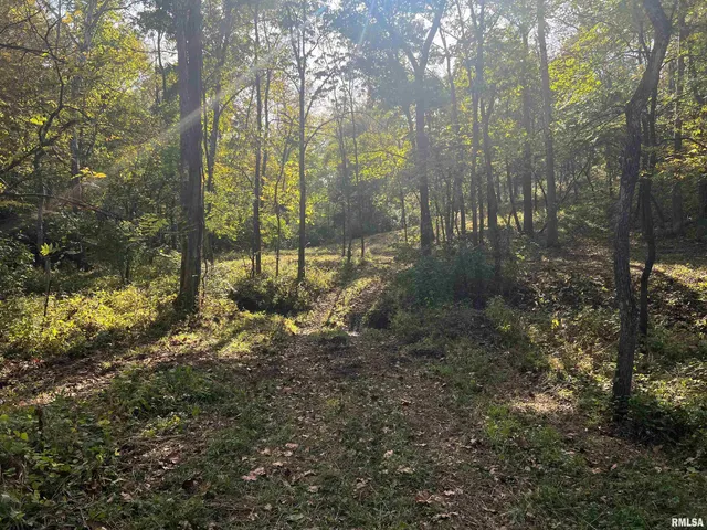 $225,000 | Rr125 Rr125 Street, Versailles, IL 62378