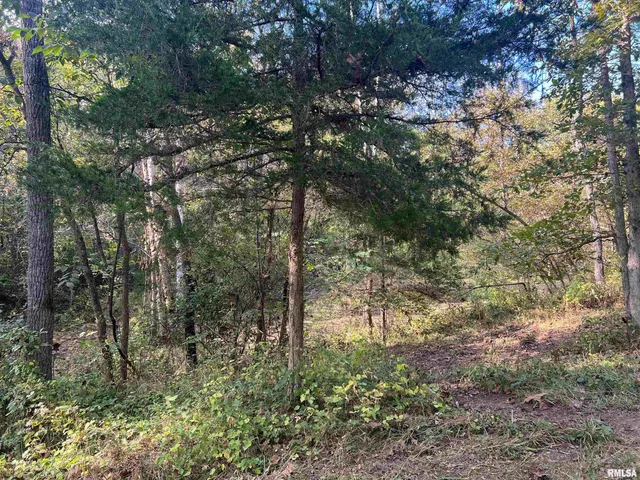 $225,000 | Rr125 Rr125 Street, Versailles, IL 62378