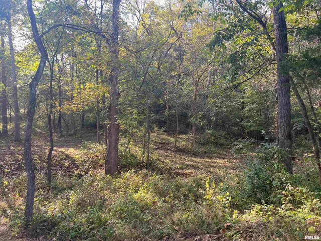 $225,000 | Rr125 Rr125 Street, Versailles, IL 62378