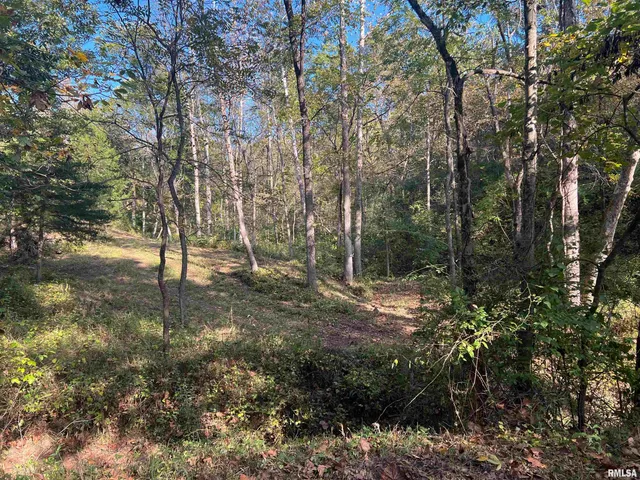 $225,000 | Rr125 Rr125 Street, Versailles, IL 62378