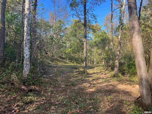 $225,000 | Rr125 Rr125 Street, Versailles, IL 62378