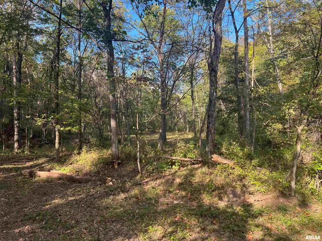 $225,000 | Rr125 Rr125 Street, Versailles, IL 62378