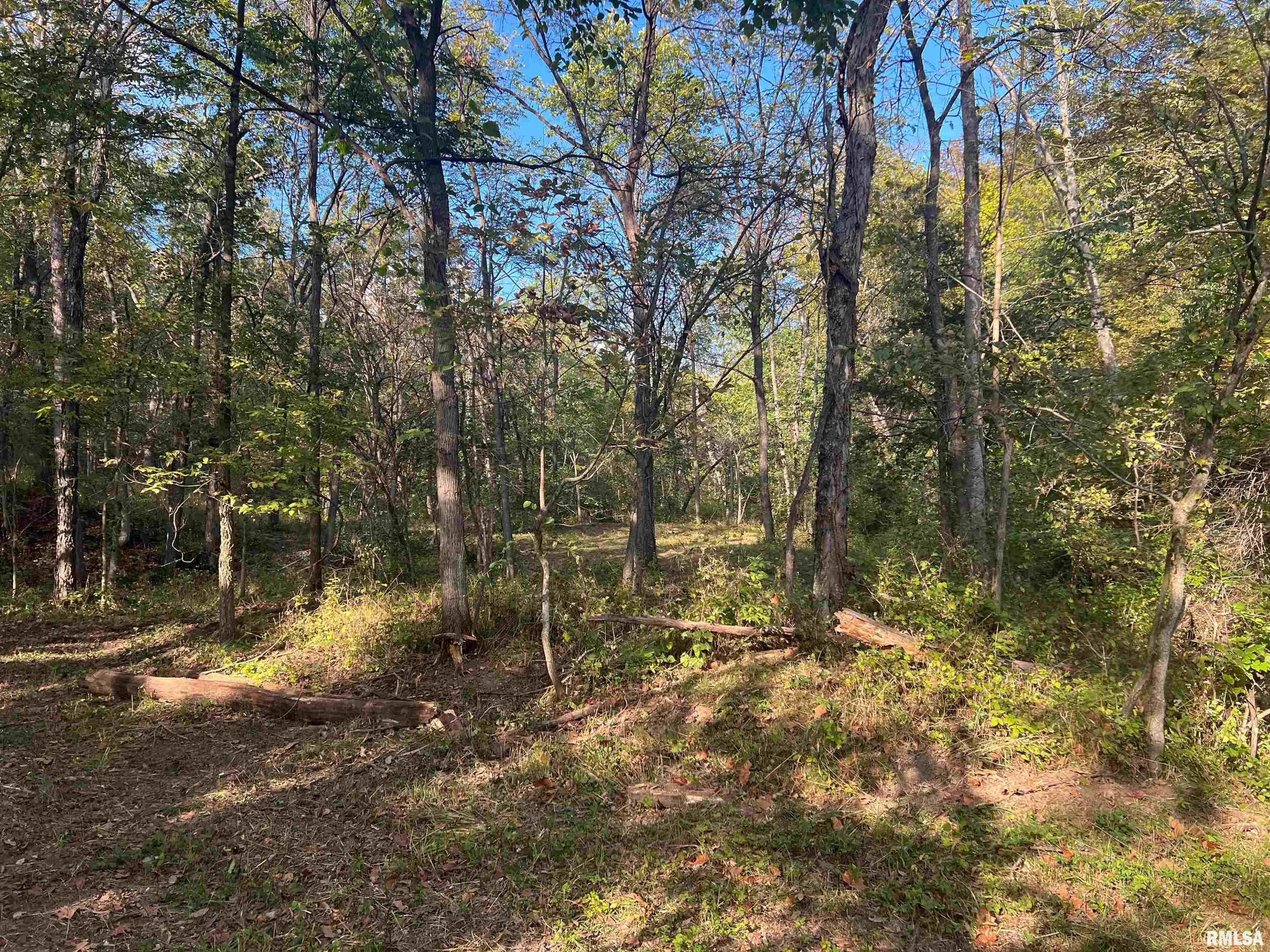 Rr125 Rr125 Street Versailles, IL 62378 - Photo 20 of 37