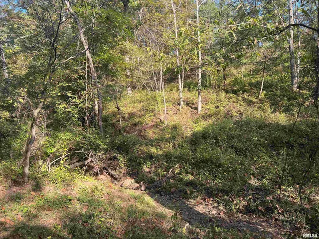 $225,000 | Rr125 Rr125 Street, Versailles, IL 62378