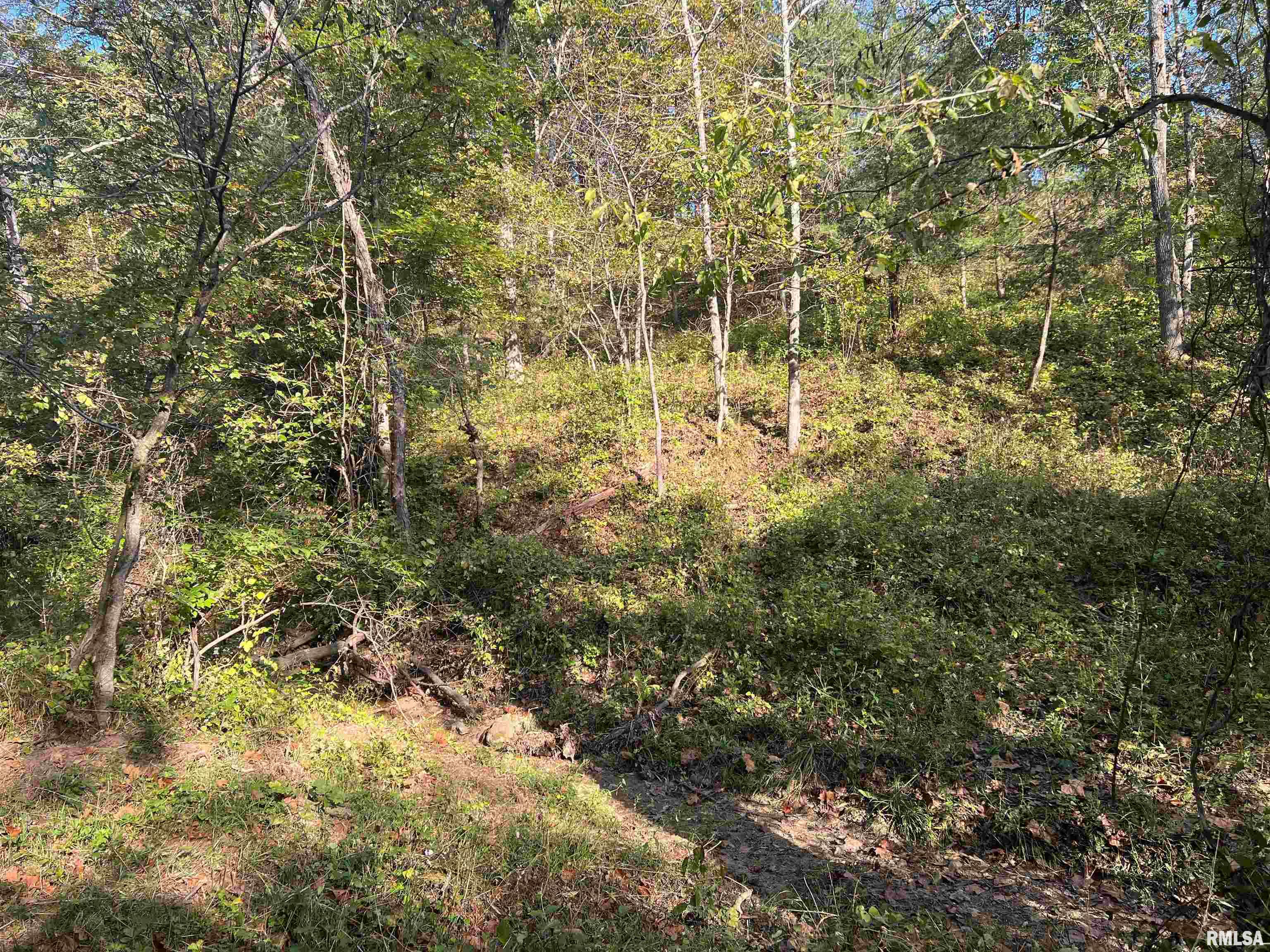 Rr125 Rr125 Street Versailles, IL 62378 - Photo 21 of 37