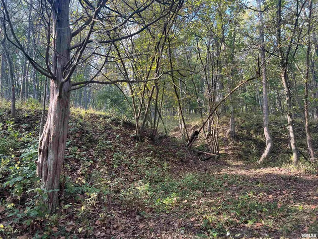 $225,000 | Rr125 Rr125 Street, Versailles, IL 62378