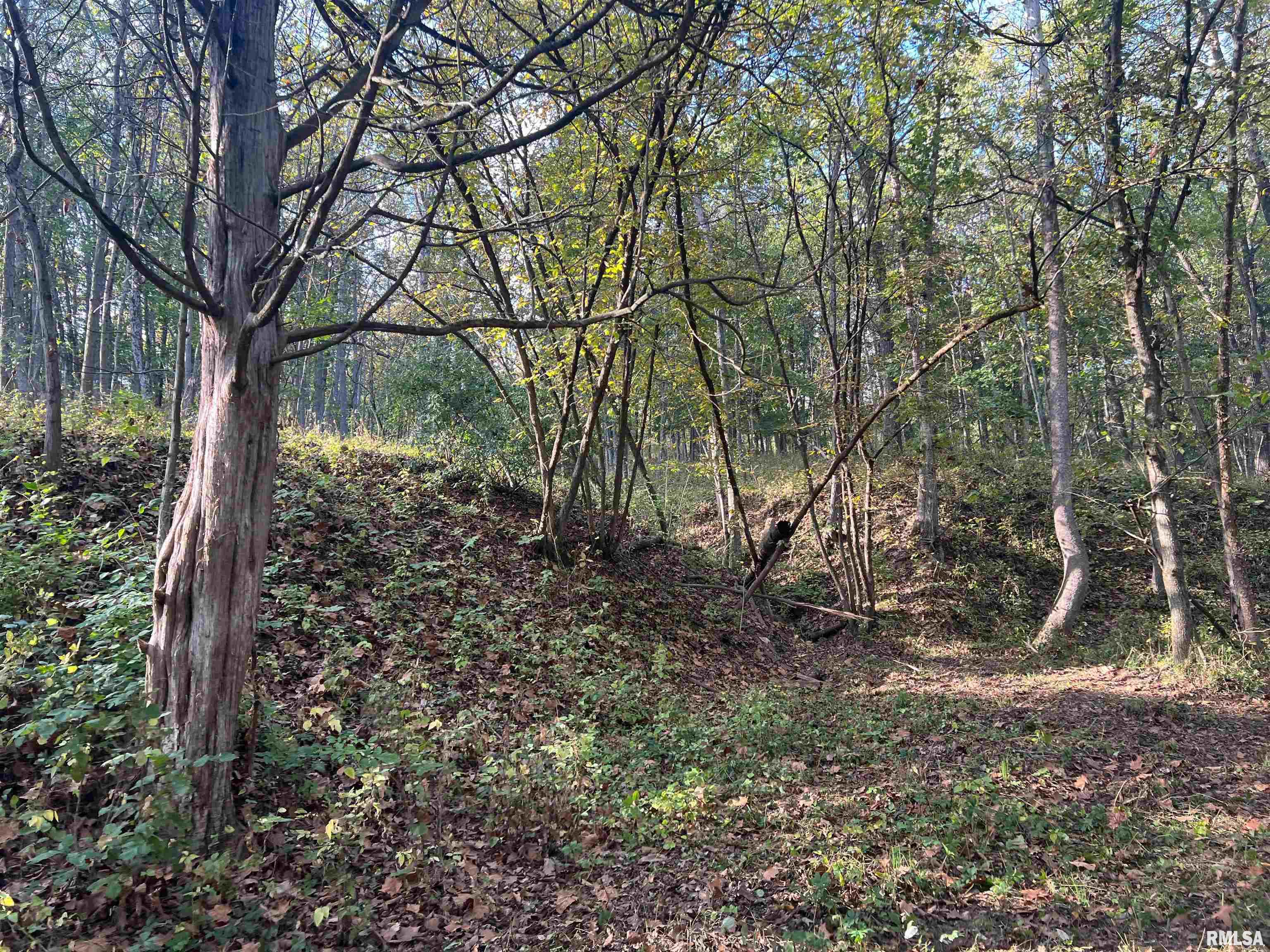 Rr125 Rr125 Street Versailles, IL 62378 - Photo 22 of 37